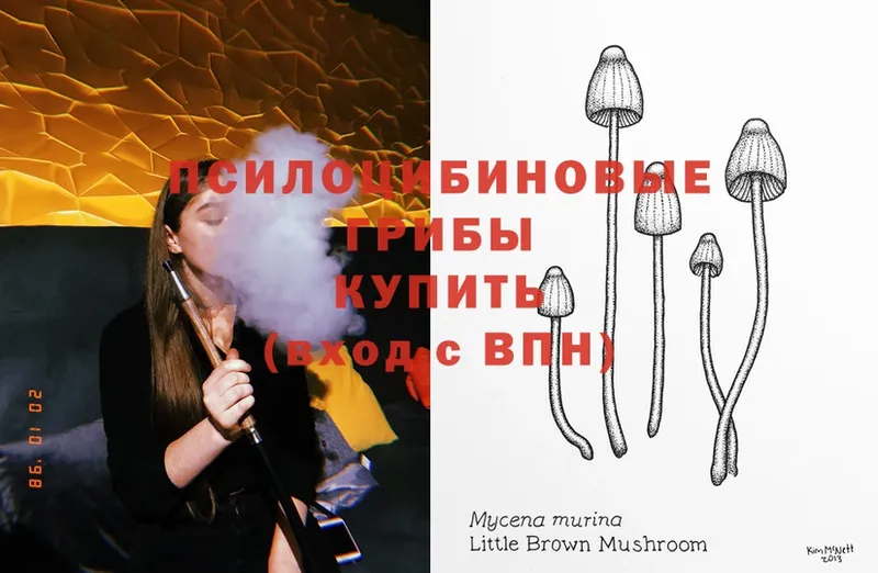 Галлюциногенные грибы MAGIC MUSHROOMS  хочу наркоту  Ессентуки 